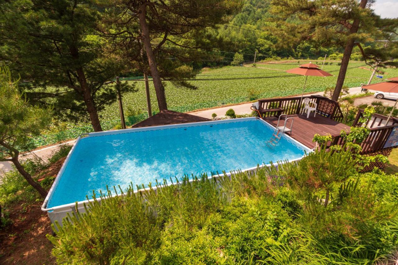 Sunny House * Pyeongchang